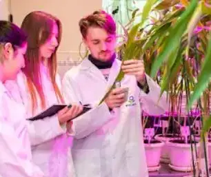 Università Agraria Statale Russa - MSHA K.A. Timiryazev