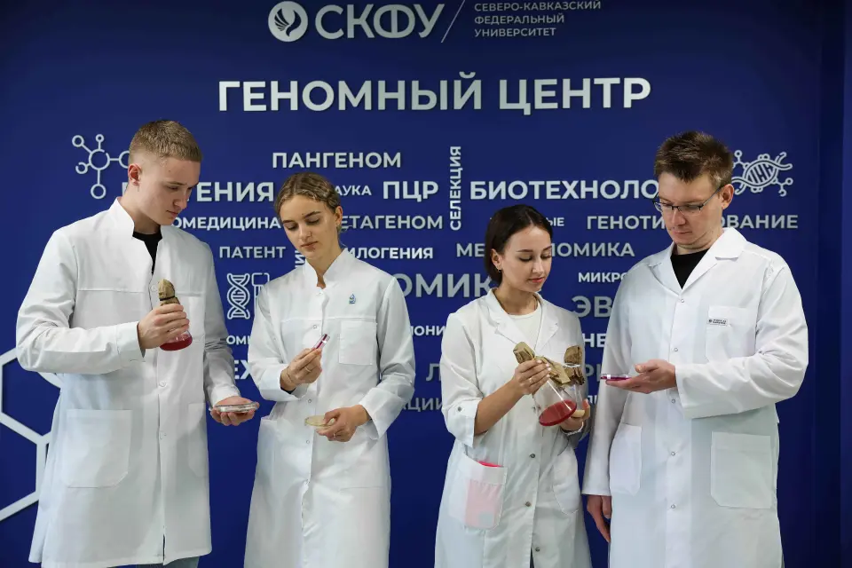 उत्तरी काकेशस संघीय विश्वविद्यालय