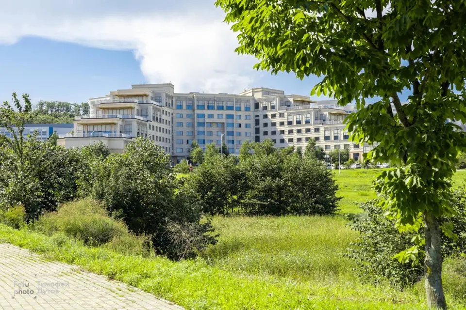 Fernöstliche Bundesuniversität