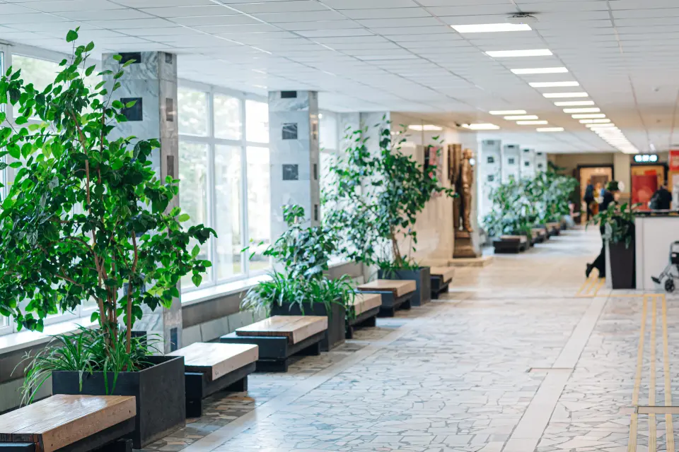 Pushkin State Institute of the Russian Language