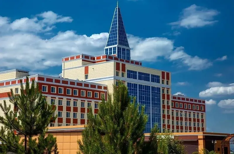 دانشگاه دولتی اینگوش