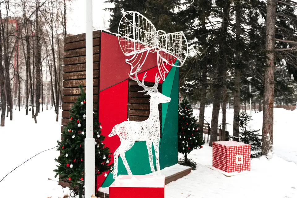 Новосибирский государственный технический университет