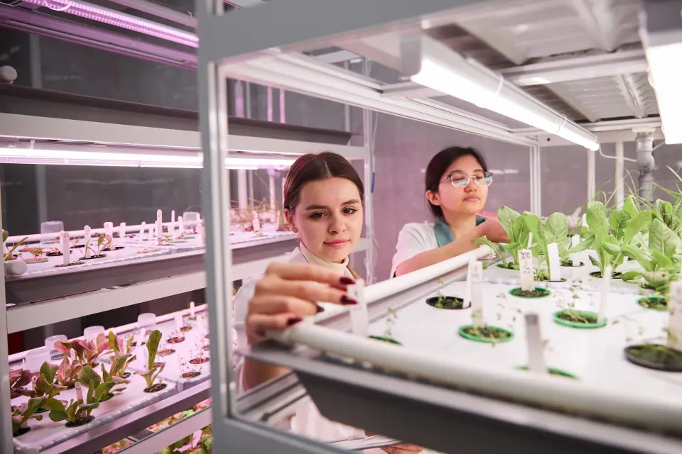 Донишгоҳи давлатии Сургут