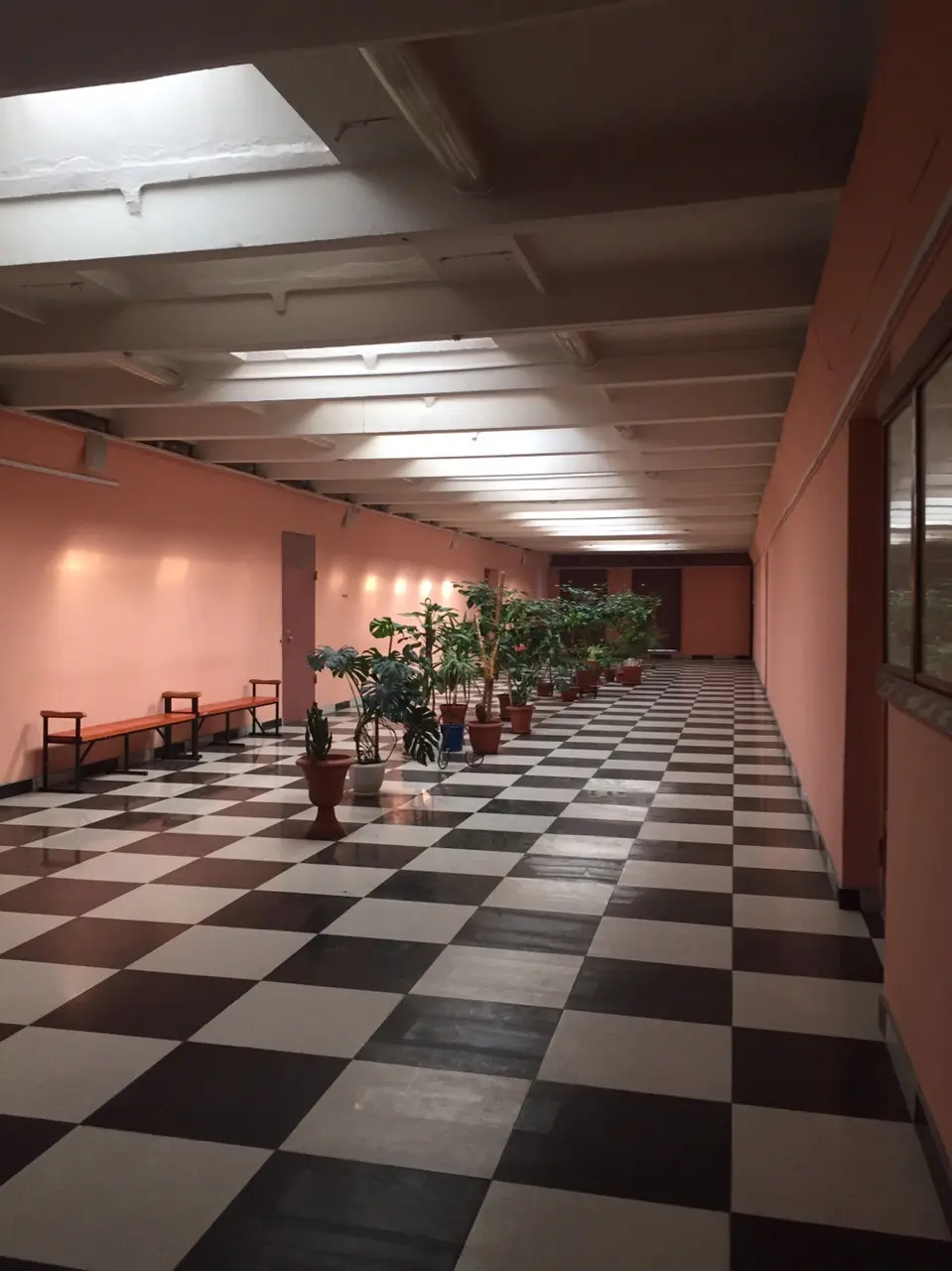 Electrostal Institute (branch) of the Federal State Autonomous Educational Institution of Higher Education "Moscow Polytechnic University"