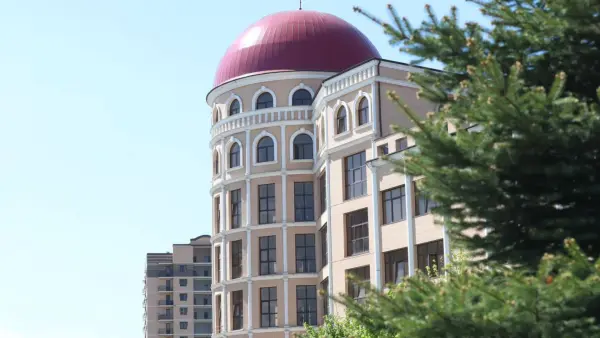 دانشگاه دولتی اینگوش